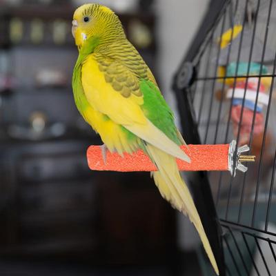 Bird Standing Stick Parrot Frosted Perch Stand For Cage Claw Sharpening Cage Perch Toy Bird Claw Sharpener 20cm