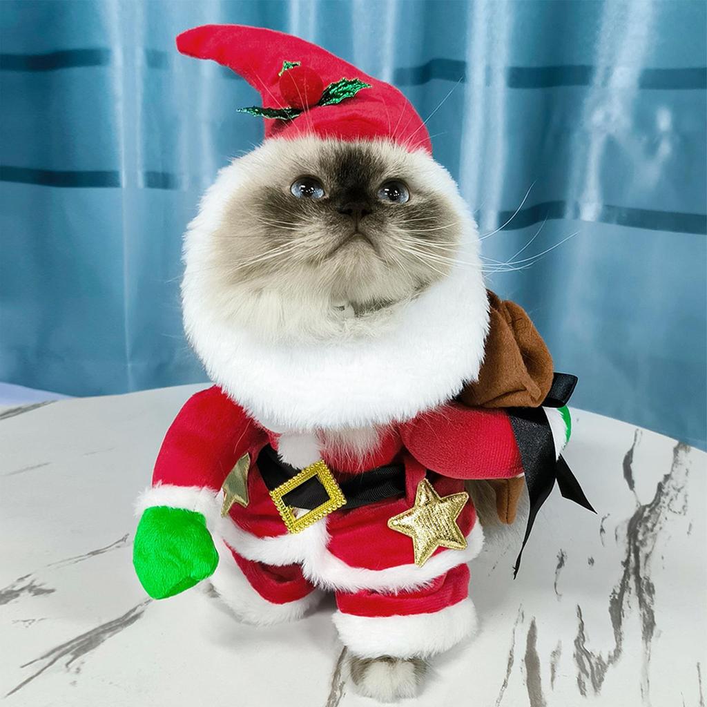 Christmas Costume For Cat Cosplay Outfit With Hat Santa Costume Clothes For Holiday Party Cosplay Masquerade Theater Performance