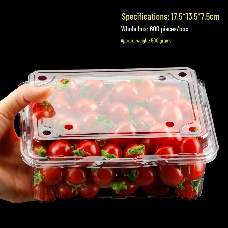 Disposable Transparent Rectangular Fruit Container with Lid, 100-Pack