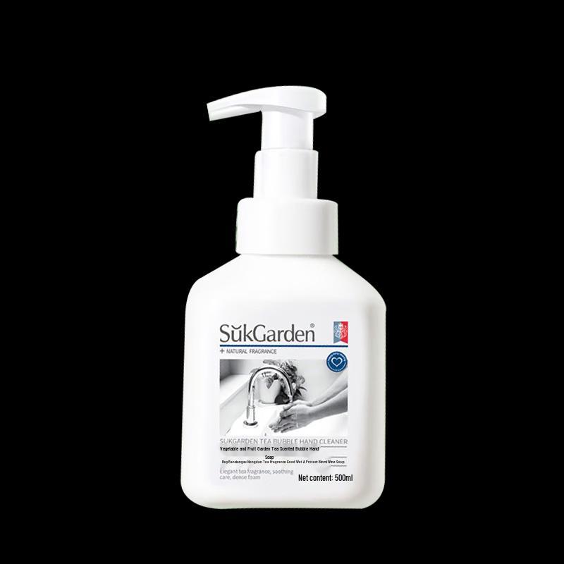 Walch Healthy Antibacterial Hand Soap & Care Set