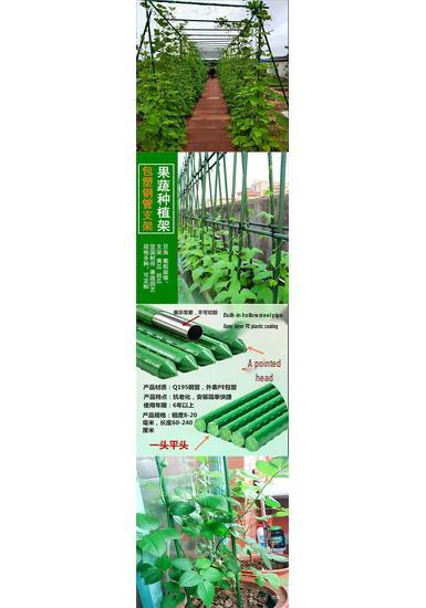 Plastic-Coated Steel Garden Support Pole for Climbing Plants
