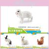 Adorable Plastic Rabbit Model Collection Featuring Wash Face Sitting Dwarf And Lop Ear Styles