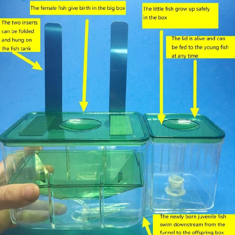 Aquarium Isolation Tanks for Fish and Shrimp Breeding and Hatching for Isolating Sick Fish or Hatching Eggs