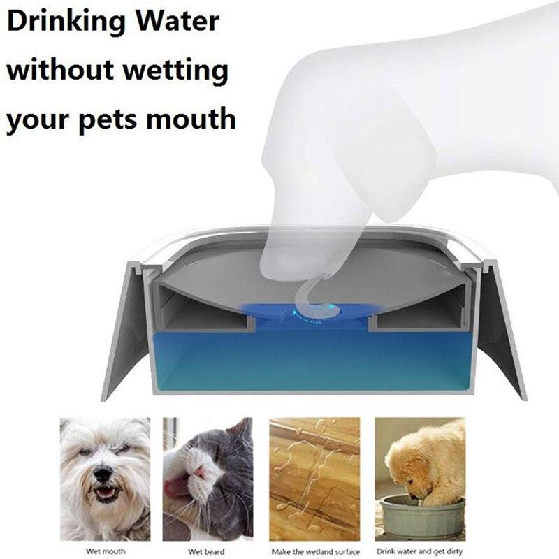 floating dog bowl
