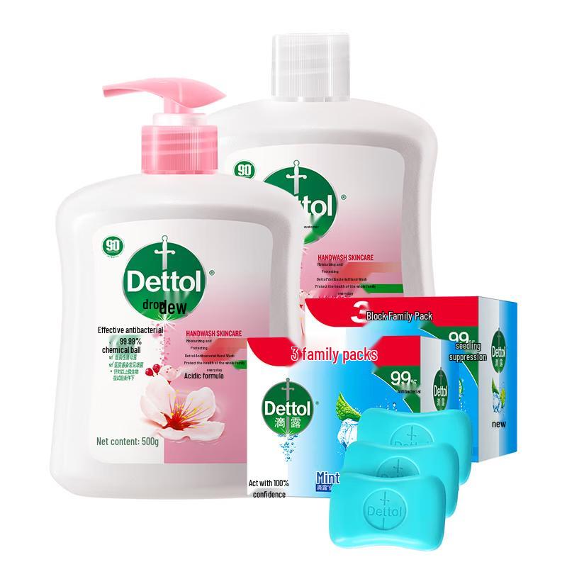 Dettol Moisturizing Hand Wash & Mint Bar Soap Set