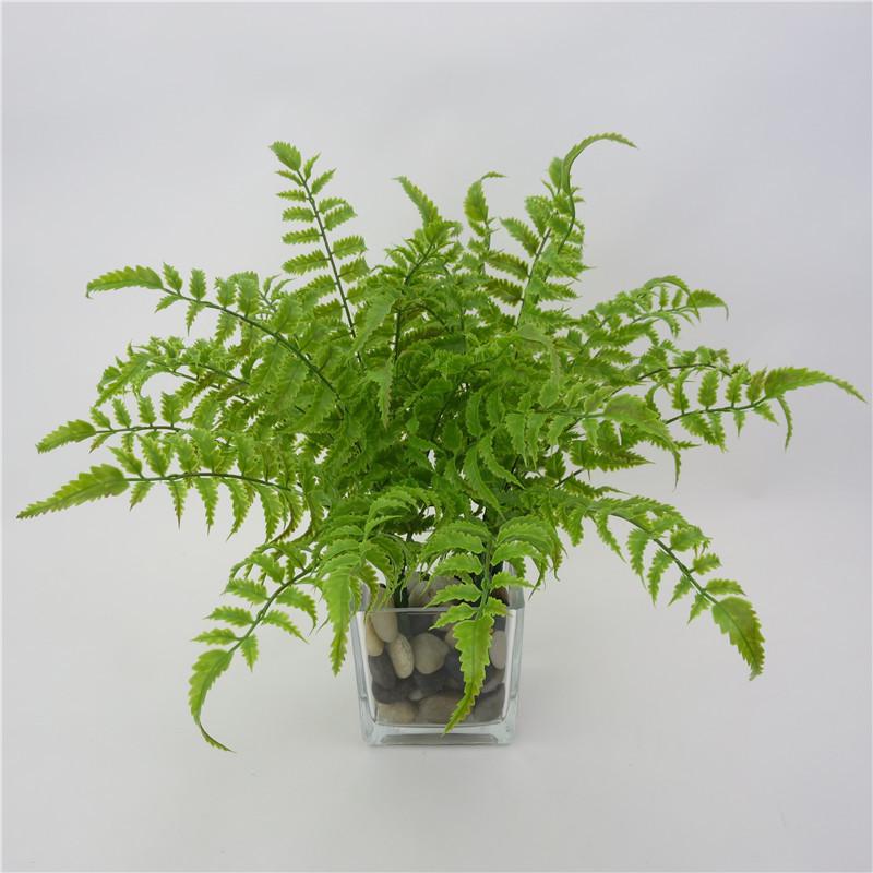 Faux Pteridium Aquilinum Var Latiusculum Plant Decor Set With Realistic Leaf Textures For Garden Photography And Home Decor
