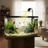 Rotatable Fish Tank Clip Lamp 3/12 W Adjustable Focus Spotlight Portable LED Aquarium Light  Home