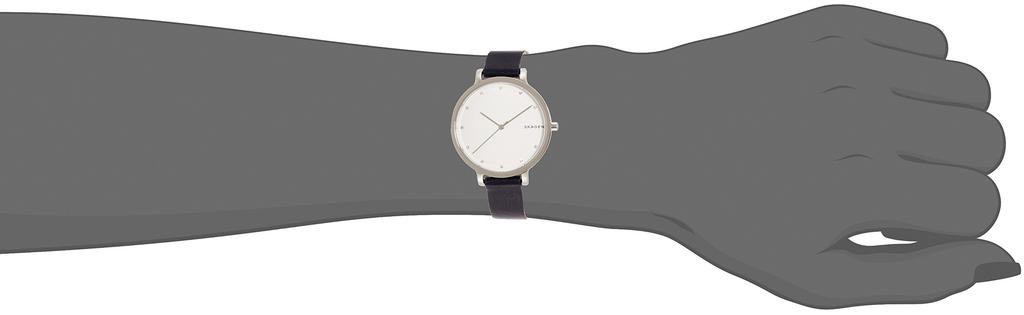 Watch HAGEN SKW2581 Genuine Imported Product [Skagen]