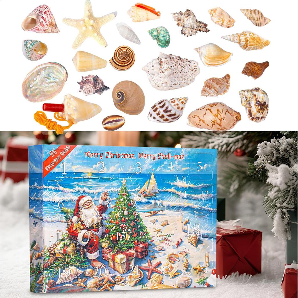 Calendar Advent 24 Days Countdown Calendar Scientific Seashells Model Educational Tool For Daily Family Activity Home School