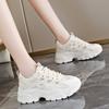 Spring, summer, autumn and winter new sports single shoes trendy shoes INS dad shoes student shoes