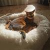 Super Soft Dog Bed Plush Cat Mat Dog Beds Round Cushion Pet Product Accessories Washable Dog and Cat Cushion Bed Winter Warm Sofa Hot Sell
