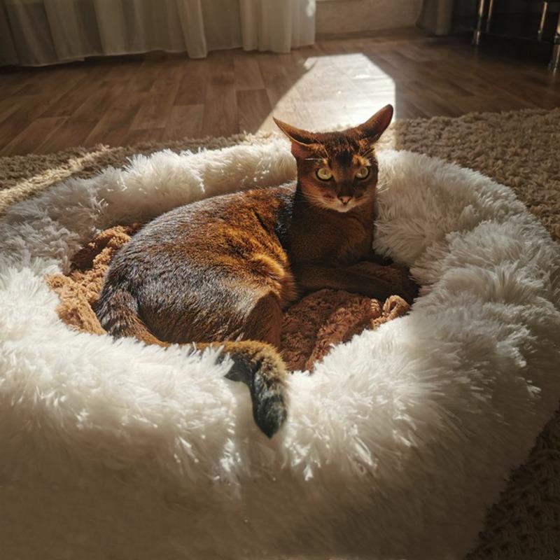Super Soft Dog Bed Plush Cat Mat Dog Beds Round Cushion Pet Product Accessories Washable Dog and Cat Cushion Bed Winter Warm Sofa Hot Sell