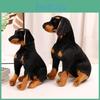Realistic Rottweiler Plush Toy Sitting Position Dog Animal Zoo Souvenir Children's Gift 25cm