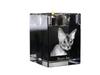 Devon Rex – Candle holder with cat photo, crystal tealight holder | Art-Dog