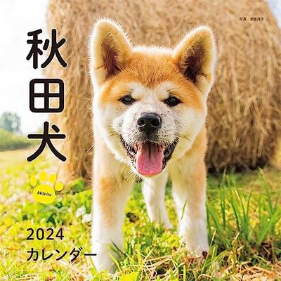 2024 Calendar Akita Inu (Seibundo Shinkosha Calendar)
