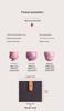 Hand-Painted Pink Kung Fu Tea Cup Set for Women - High-Grade Underglaze Color Tasting Cup