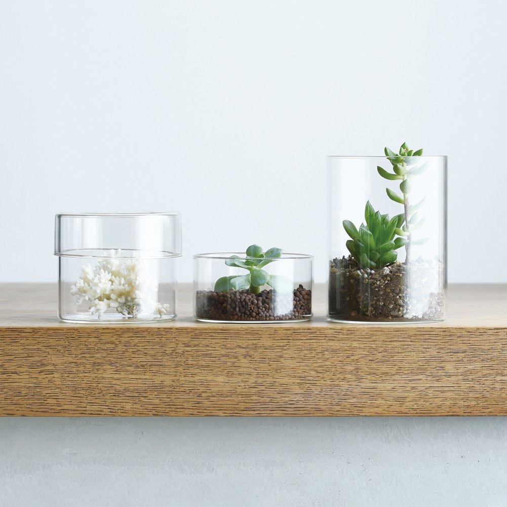 Kinto SCHALE Glass Case, 100x130mm, Clear, 25763