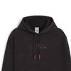 Puma Windproof Warm Loose Casual Hoodie Men Hoodies Black 62742701