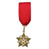 Retro Look High Rank Glowing Star Brooch Alloy Badge Pin Excellent For Armed Forces Theme Gatherings Present
