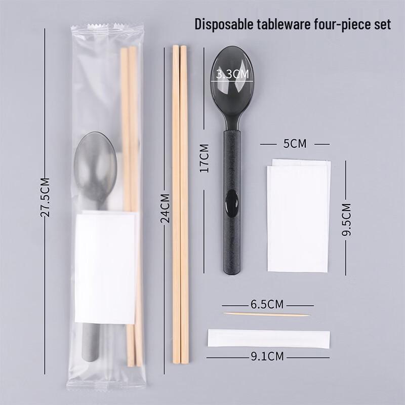 Xinjingzhou Disposable Picnic Tableware Set