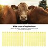 100Pcs Durable Livestock Ear Tags Yellow Animal Ear Tags Perfect Ear Tags  Pig