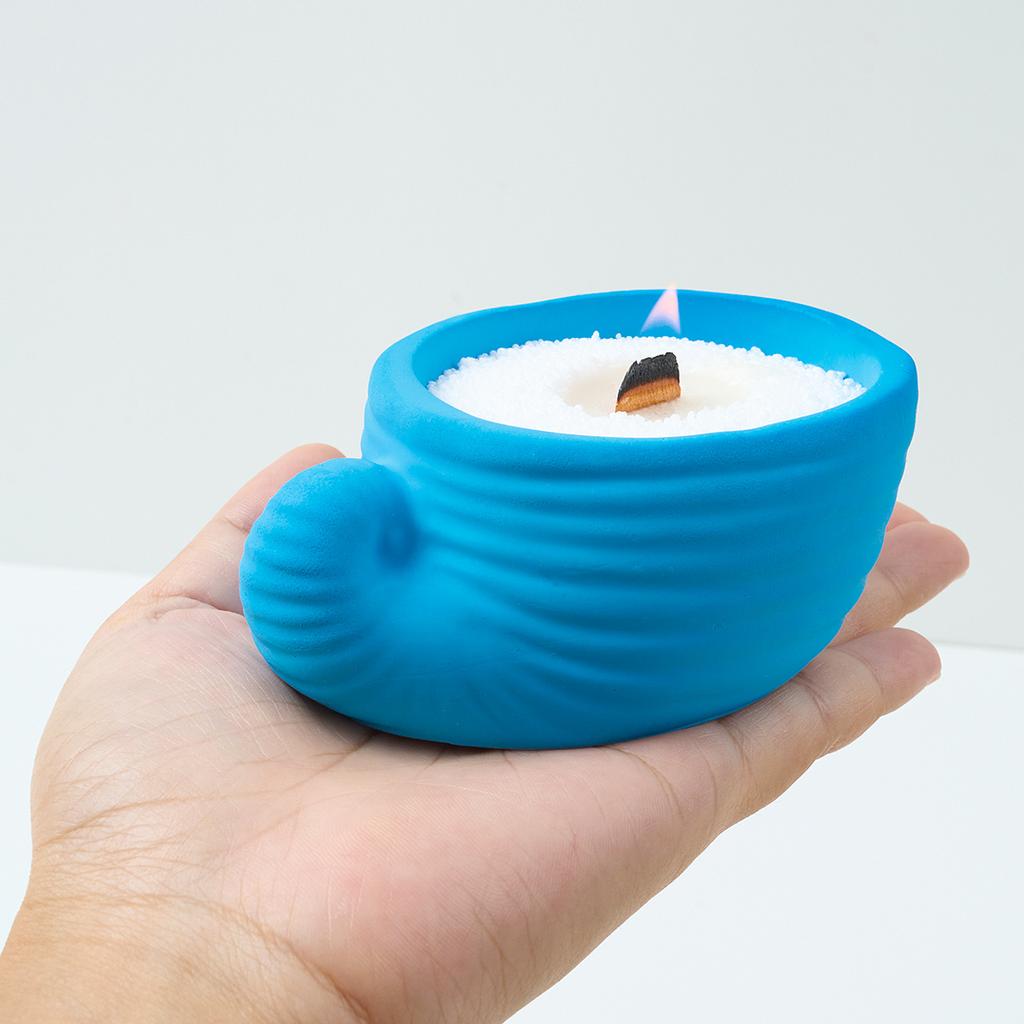 Conch Candle Jar Silicone Mold DIY Succulent Flower Pot Gypsum Cement Molds Jewelry Storage Box Resin Crafts Making Home Decor