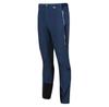 Regatta Mountain III Pants