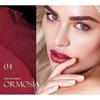 DEROL - Starlight Diamonds Shine Liquid Lipstick - 1-4