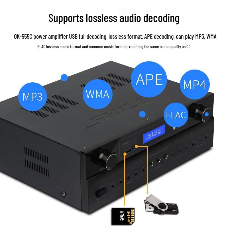 SHILE Professional 10-inch Integrated Audio System CN plug (adapter included)