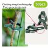 Durable Plastic Garden Plant Support Clips - Green Lever Ring Clips for Vines, Ideal for Organizing Stems & Branches, with Bonus Tomato & Cucumber