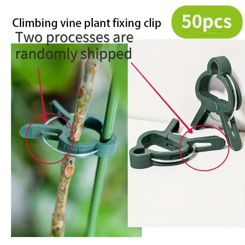 Durable Plastic Garden Plant Support Clips - Green Lever Ring Clips for Vines, Ideal for Organizing Stems & Branches, with Bonus Tomato & Cucumber