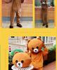Douyin Bear Mascot Costume - Adult Cartoon Proposal Character Outfit