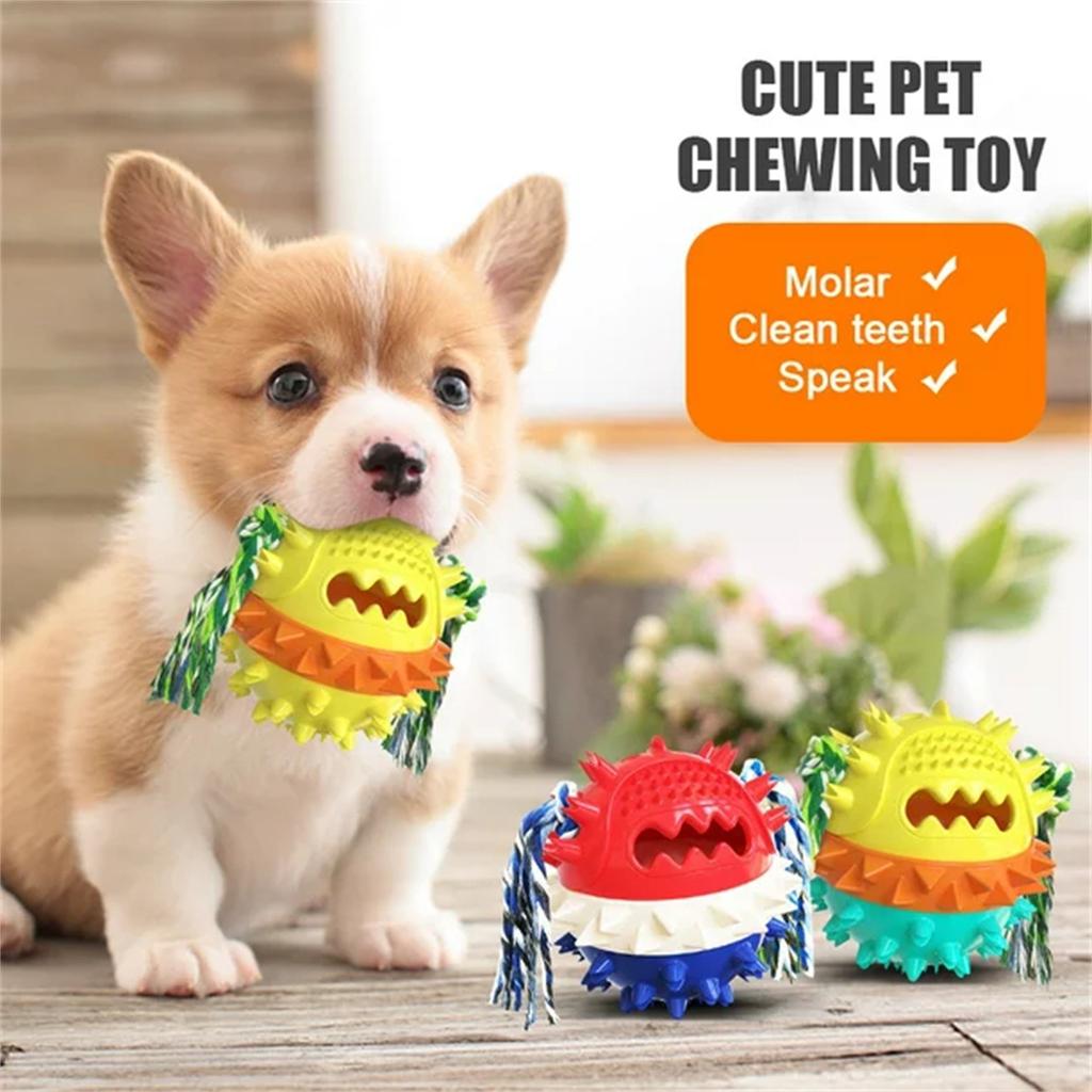 Interactive Tough Puppy Toy With Rope, Molar Squeaky Bouncing Ball Toy
