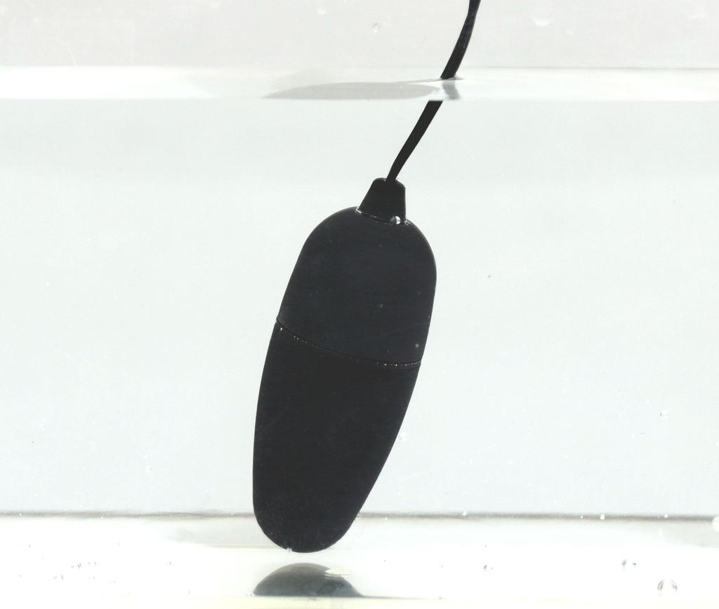 JAPANTOYZ ~Love&Leaf~ nemo Neo Wireless Remote Control Vibrator Black