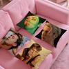 Singer TTroye SSivan Pillow Case Silky Short Plush with Invisible Zipper Dustproof Sofa Cushion Cover for Home Decor