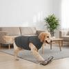 Windproof Dogs Calming Jacket Reflective Dog Soothing Clothes Dog Anxiety Vest  Home Travel