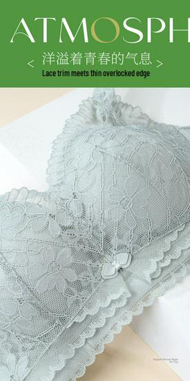 Medium-thickness Lace Push-Up Bra: Wire-Free Support, Lifts, Shapes & Enhances for Smaller Busts.