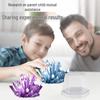 Children's Crystal Growing Science Kit: STEAM Educational Toy for Primary Students