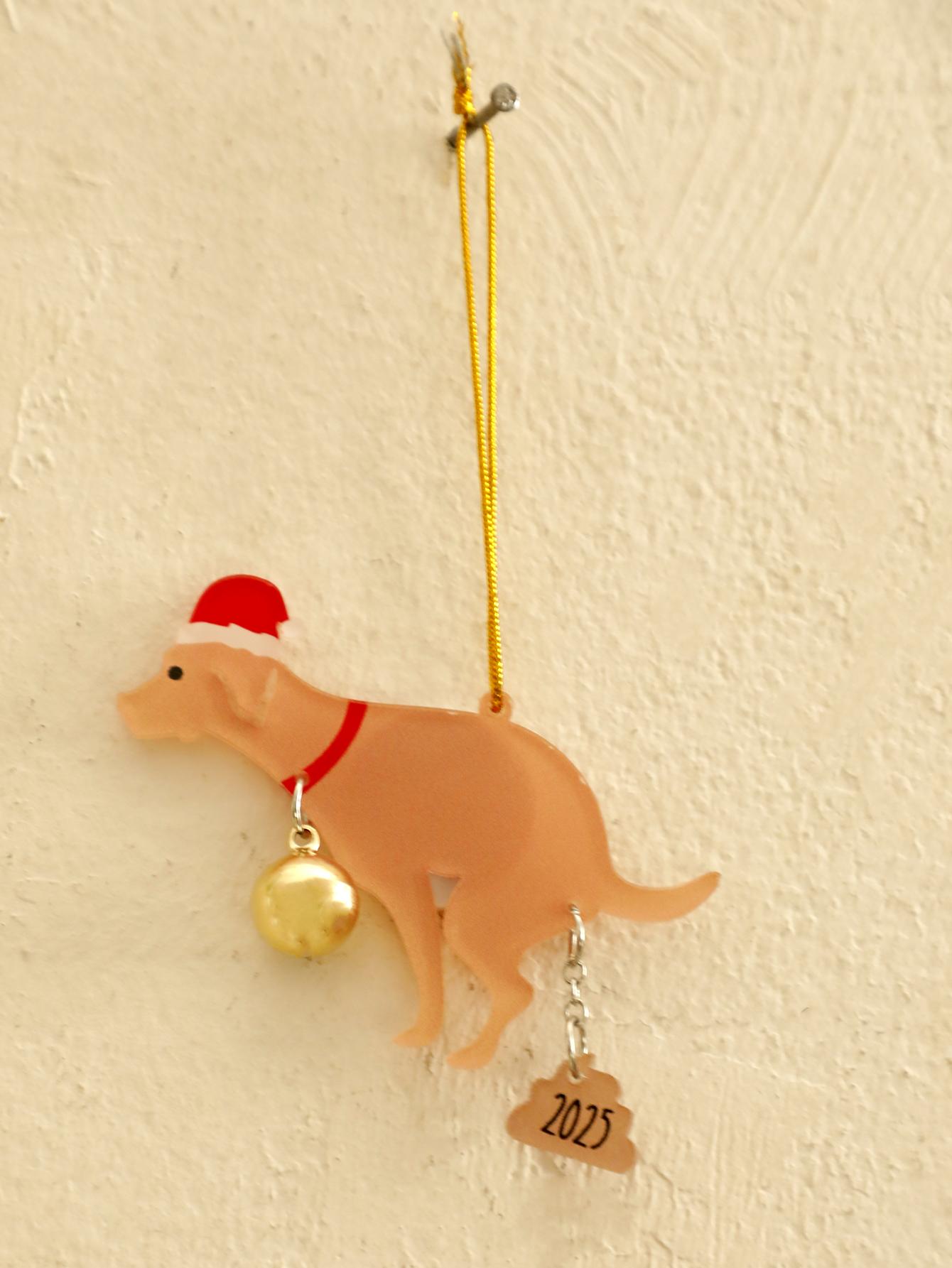 

Funny Christmas Pet Shaped Ornament, Acrylic Dog & Cat Hanging Decor with Santa Hat & 2025 Pendant, Novelty Gift for Xmas Tree