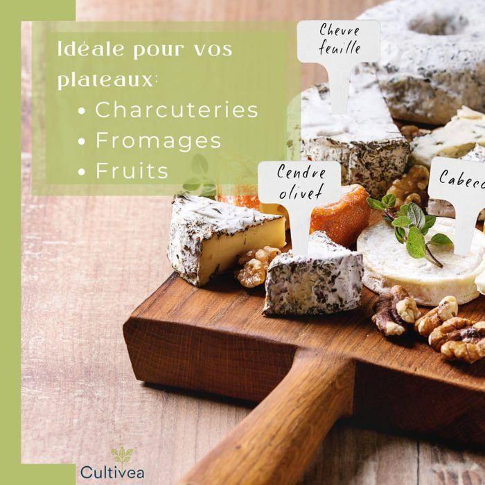 Étiquettes Jardin - CULTIVEA - 120 Étiquettes en Plastique - Forme T - Marqueur Inclus - Waterproof