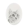 American Shorthair – Commemorative Plaque with a Cat Photo, Tombstone with a Print |