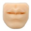 Human Mouth Model Soft Silicone High Simulation Lifelike Lips Model for Jewelry Display