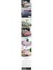 Brushed Duvet Cover Set - 1.5m, Single Piece, Summer Weight, Simple Print, Thin Bedding Sheet