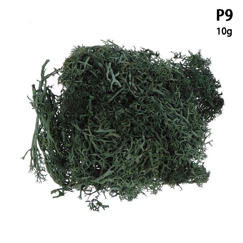 Colorful Natural Artificial Moss Plant DIY Dried Reindeer Moss Decor Resin Epoxy Filling Jewelry Garden Decorate Supplies