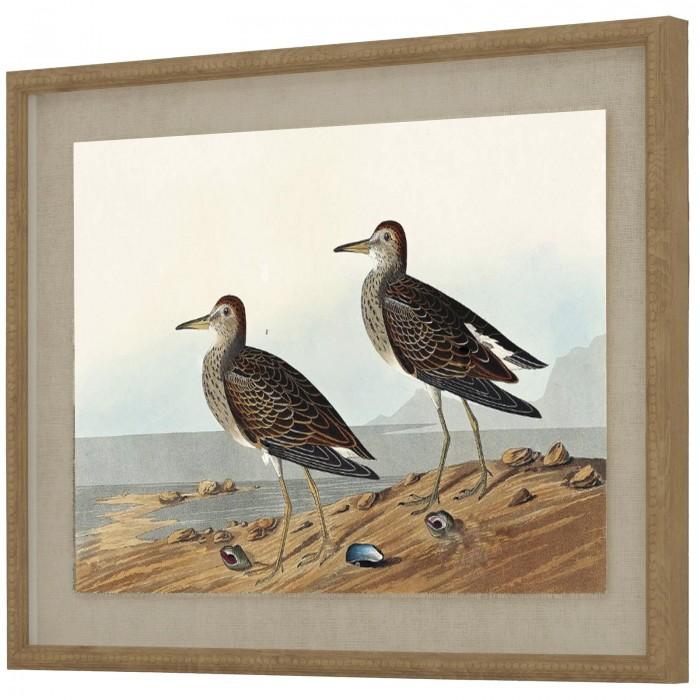 Hill Interiors Flora & Fauna Collection Sandpipers Beaded Linen Framed Wall Art