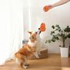 Suction Cup Dog Rope Toy Interactive Dog Chew Toy Tug-of-War Teeth Cleaning Toy for Puppy Teething Dogs Boredom Relief