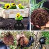 3 STÜCK Pflanzenbewurzelungskugel Veredelung Bewurzelungskasten Zuchtkasten Pflanzenwurzel Wachstumsbox für Garten 5/8/12cm Durchmesser Pflanzwerkzeuge