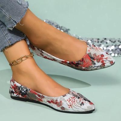 Damenschuhe mit spitzer Zehenpartie und Farbblockierung, bedruckt, flacher Boden, lässig, bequem, Übergröße, für den Alltag, All-Match-Damenschuhe
