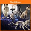 Accesorii de petrecere – Accesorii de Halloween