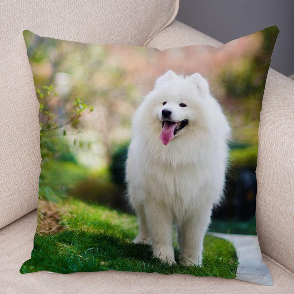 50 Stil Husă de Pernă Câine Alb Drăguț Samoyed Decor Husă de Pernă Animal de Companie Iubitor Husă de Pernă Moale de Pluș pentru Canapé Cameră Copii